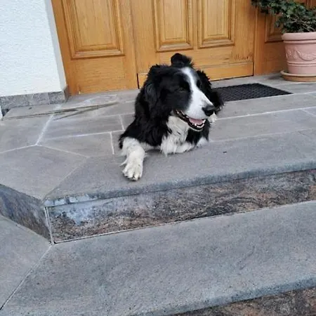 Sauschneid Hof Daire *