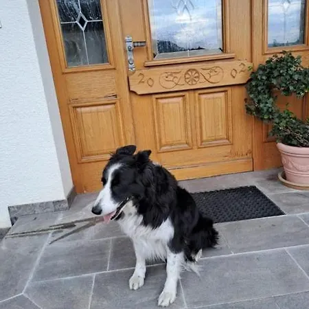 Sauschneid Hof * تاكسنباخ