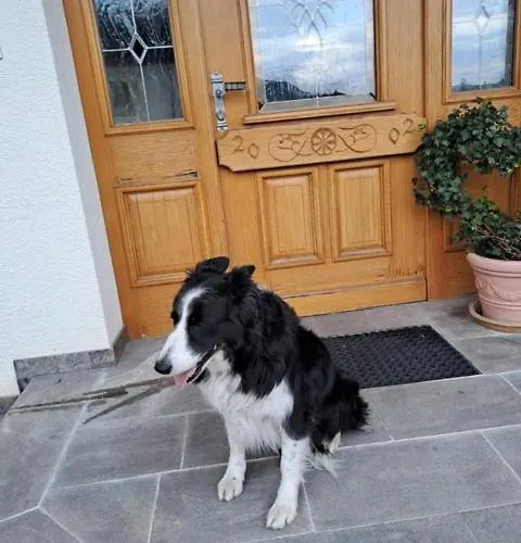 Sauschneid Hof * تاكسنباخ